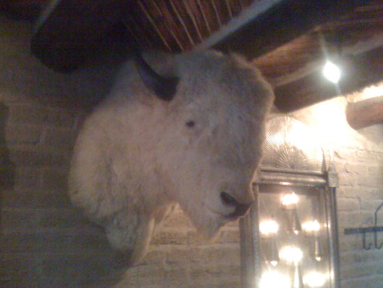 White Buffalo at the Gage Hotel, Marathon, TX
