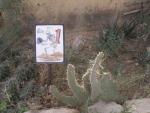 Interesting Sign at Terlingua Ghost Town