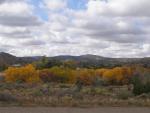 Colorful Aspens along the Turquoise Trail, NM