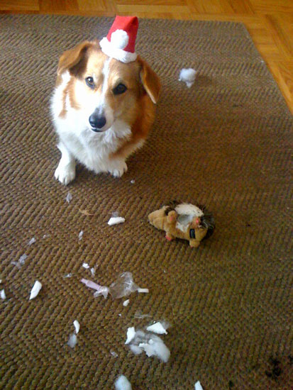 Ruby and the Death of a Hedgehog