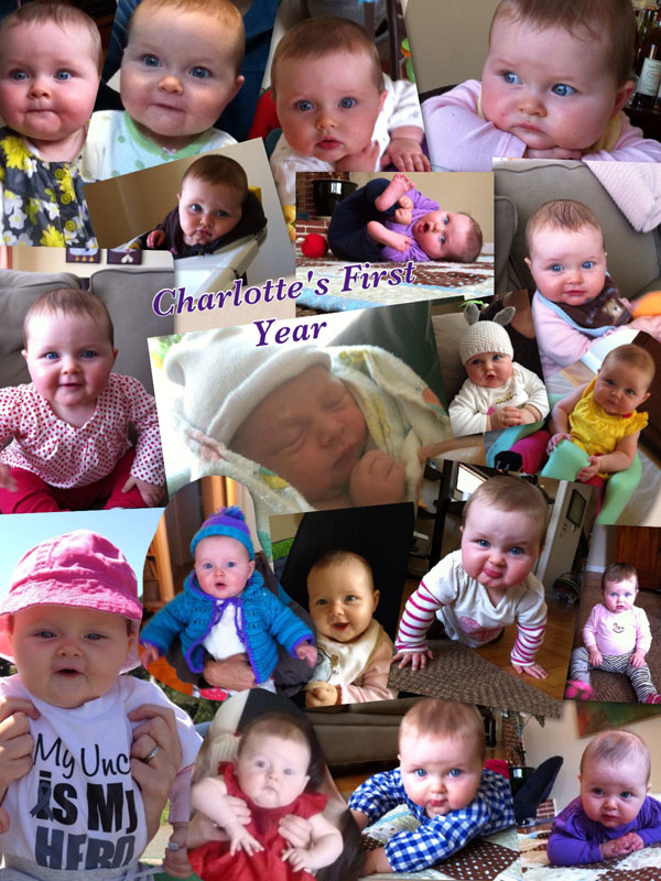 Charlotte's First Year