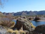 The Gorgeous Salt River and the Sonoran Desert