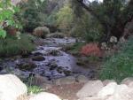 Putah Creek at Canyon Creek Resort, Winters, CA
