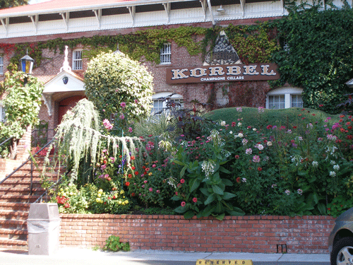 The Korbel Winery, Guerneville, CA