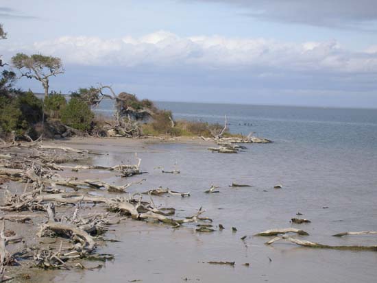 A view of the Aransas National Wildlife Refuge
