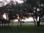 Early morning view from our campsite at Ocala Sun RV Resort.