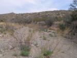 A dry riverbed at Big Bend