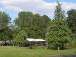 View from our site at Deerwood RV Park, Eugene, OR