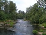 Pengra Creek, taken from Pengra Creek Bridge