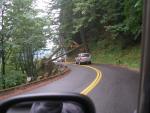 Fallen Tree, Historic Columbia River Highway