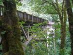 Guardrail Along Historic Columbia River Highway