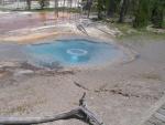 Hot Pool at Yellowstone