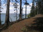 Picnic spot overlooking Bridge Bay on Lake Yellowstone