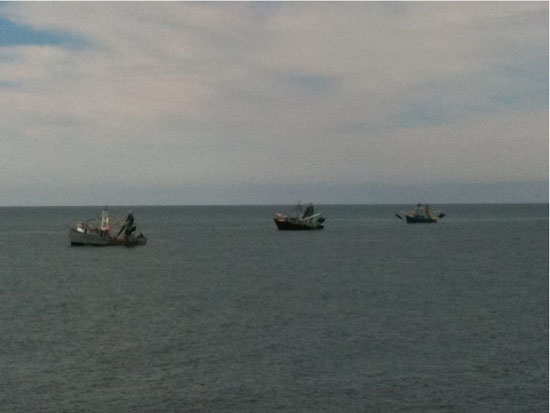 Shrimp Boats at Rocky Point