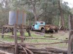 Farm Truck Near Sheep Shed at Boyce Thompson Arboretum