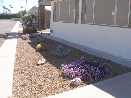 Front Yard With Century Plant Addition.