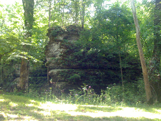 Along the Natchez Trace Parkway, TN