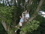 Savana and  Mariah Tree Climbing
